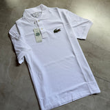 Camisa Lacoste BIG CROCO